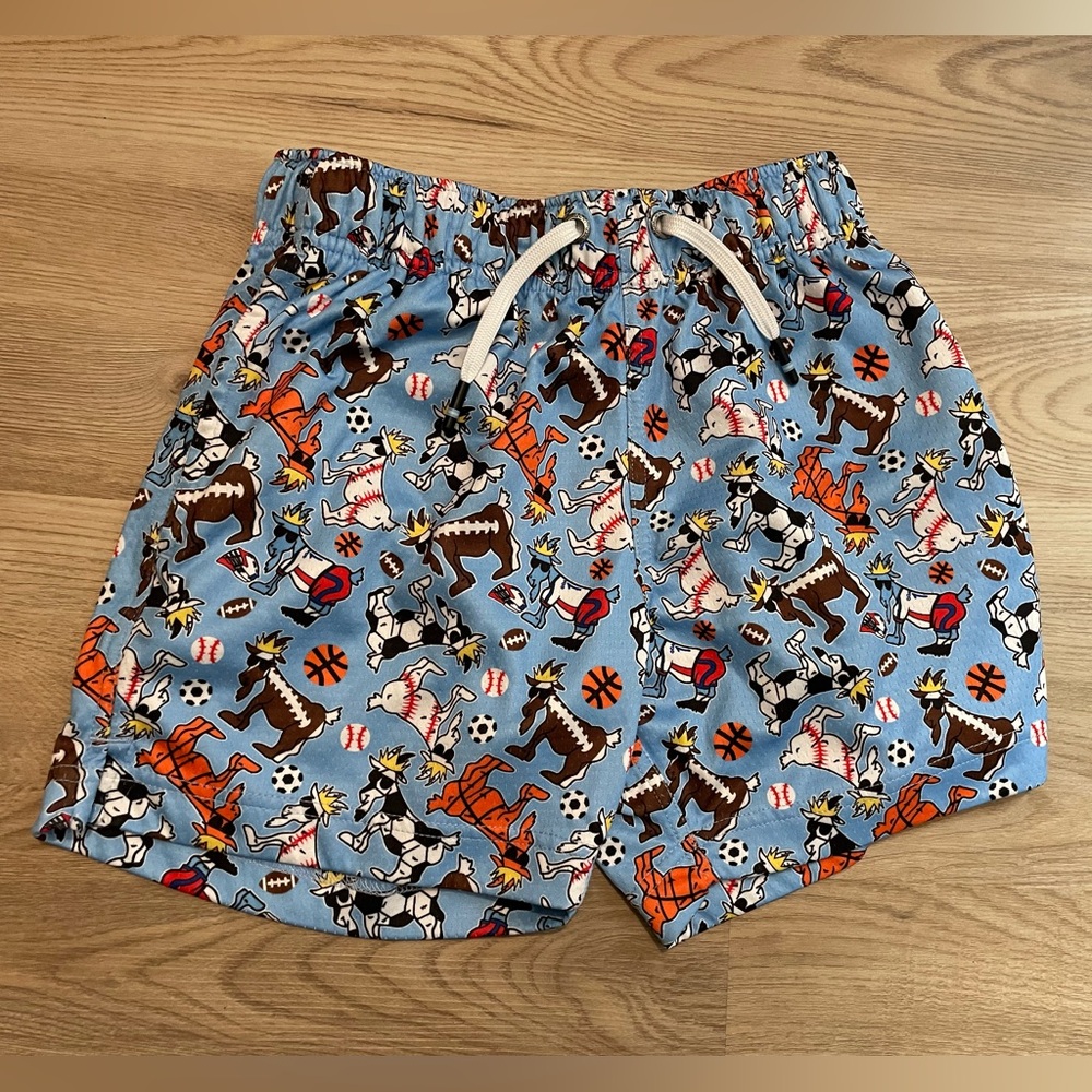 GOAT USA Blue Animal Print Shorts size L